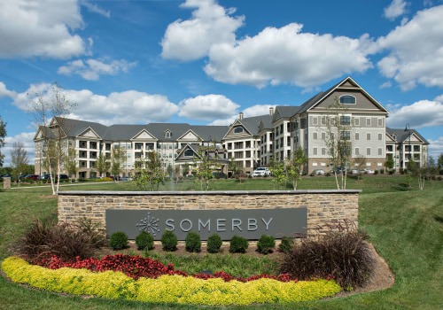 Senior Programs and Services in Williamson County, Tennessee: A Comprehensive Guide